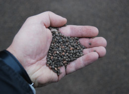 Beratung-Baustoff Beratung-Baustoff